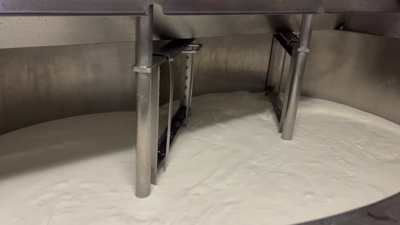Leche fresca de oveja recién ordeñada en la cuba del obrador